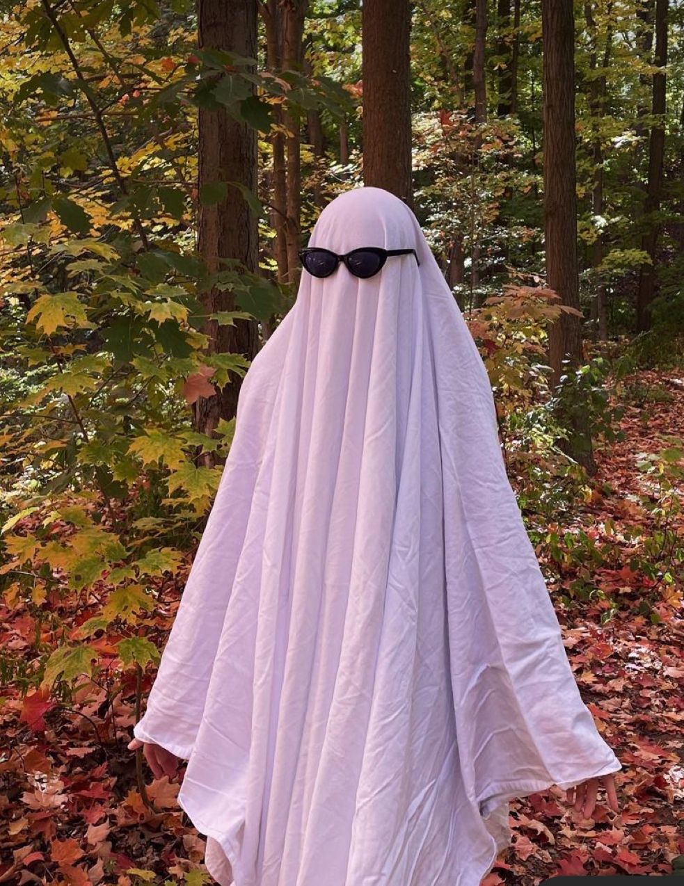ghost.jpg